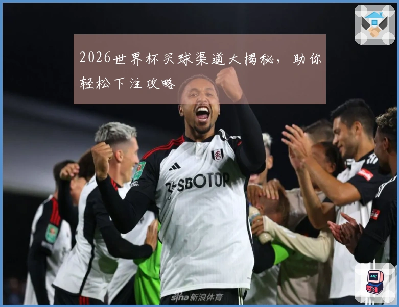 2026世界杯买球渠道大揭秘，助你轻松下注攻略