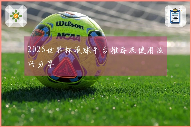 2026世界杯滚球平台推荐及使用技巧分享