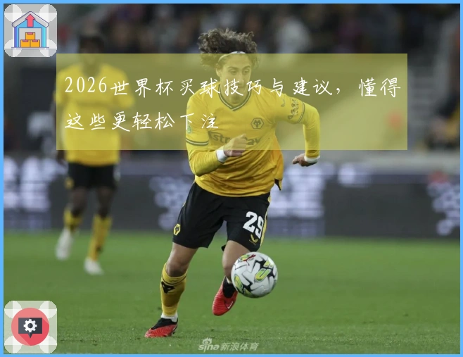 2026世界杯买球技巧与建议，懂得这些更轻松下注