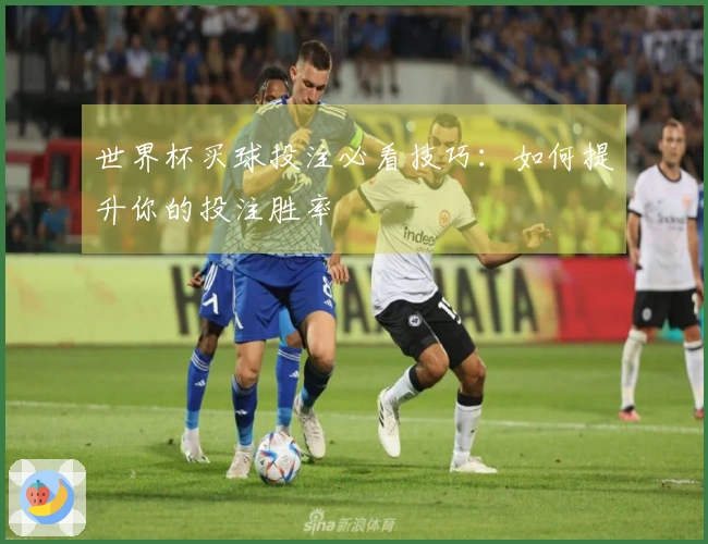 世界杯买球投注必看技巧：如何提升你的投注胜率