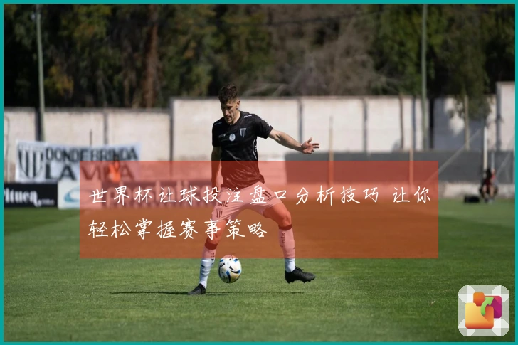 世界杯让球投注盘口分析技巧 让你轻松掌握赛事策略